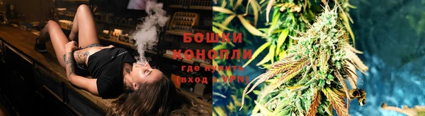 apvp Белокуриха