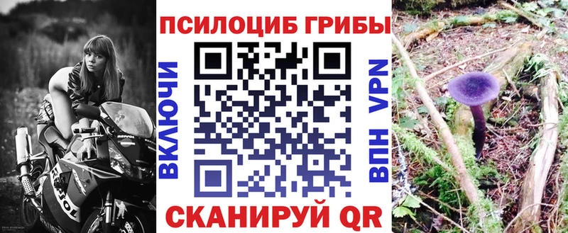 Псилоцибиновые грибы прущие грибы Воркута